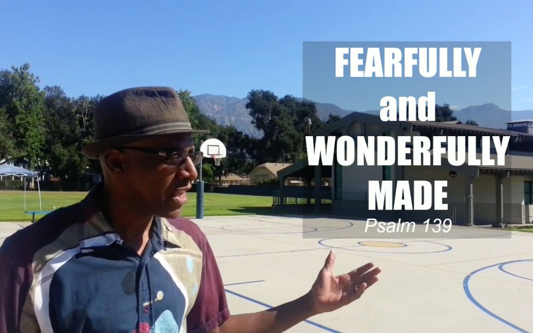 You Are Fearfully And Wonderfully Made